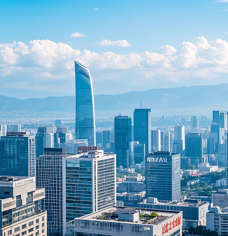 云南省某市人社局項(xiàng)目